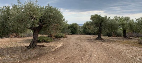 12458m² Hotel in Chalkidiki, Greece No. 4550 3