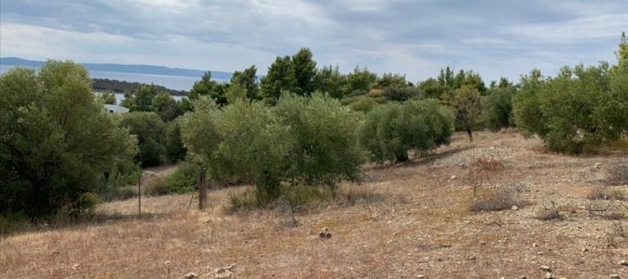 12458m² Hotel in Chalkidiki, Greece No. 4550 6