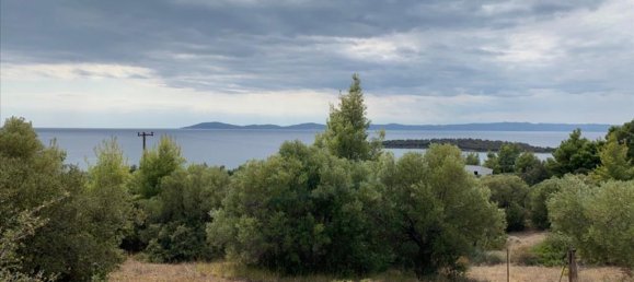 12458m² Hotel in Chalkidiki, Greece No. 4550 7