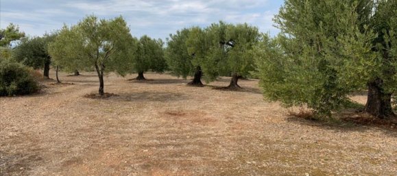 12458m² Hotel in Chalkidiki, Greece No. 4550 4