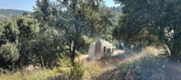 قطعة أرض في Guadalajara, Spain رقم 142031 21