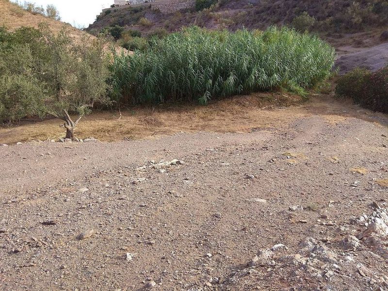 Terreno en Benajarafe, Spain 33500 m² No. 225179