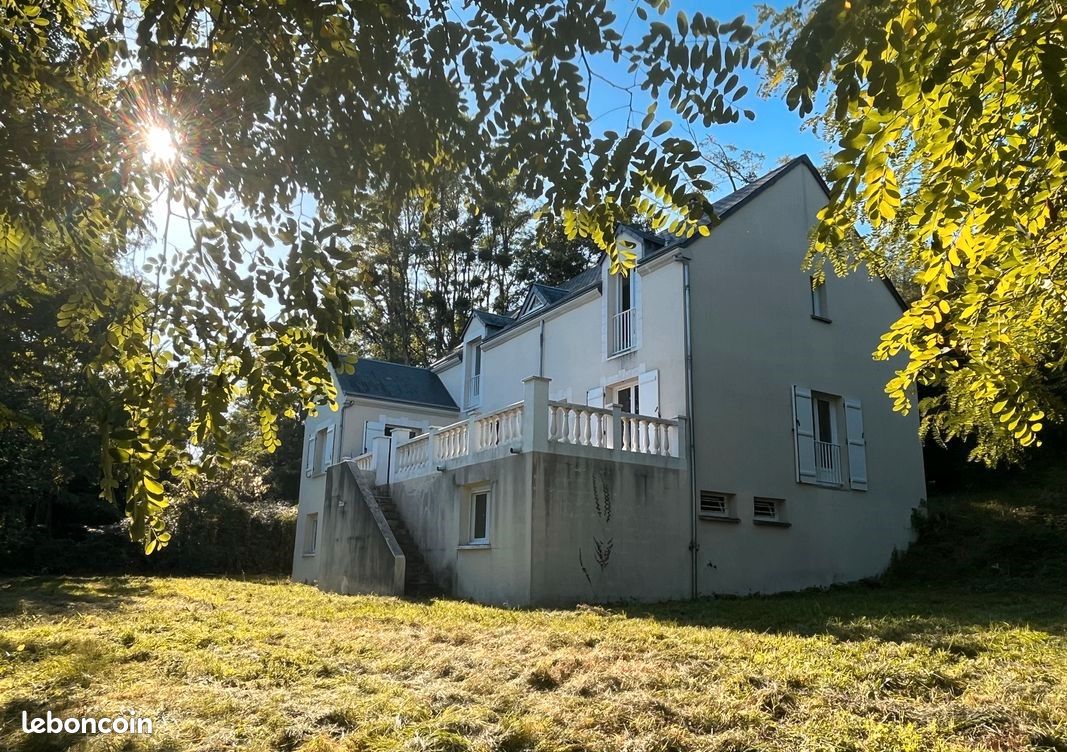 5 غرف نوم منزل في Blois, France رقم 47681