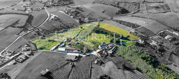9 chambres Châteaux à Bombarral, Portugal No. 146239 13