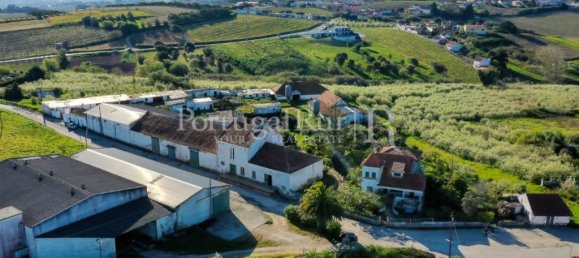 9 chambres Châteaux à Bombarral, Portugal No. 146239 16