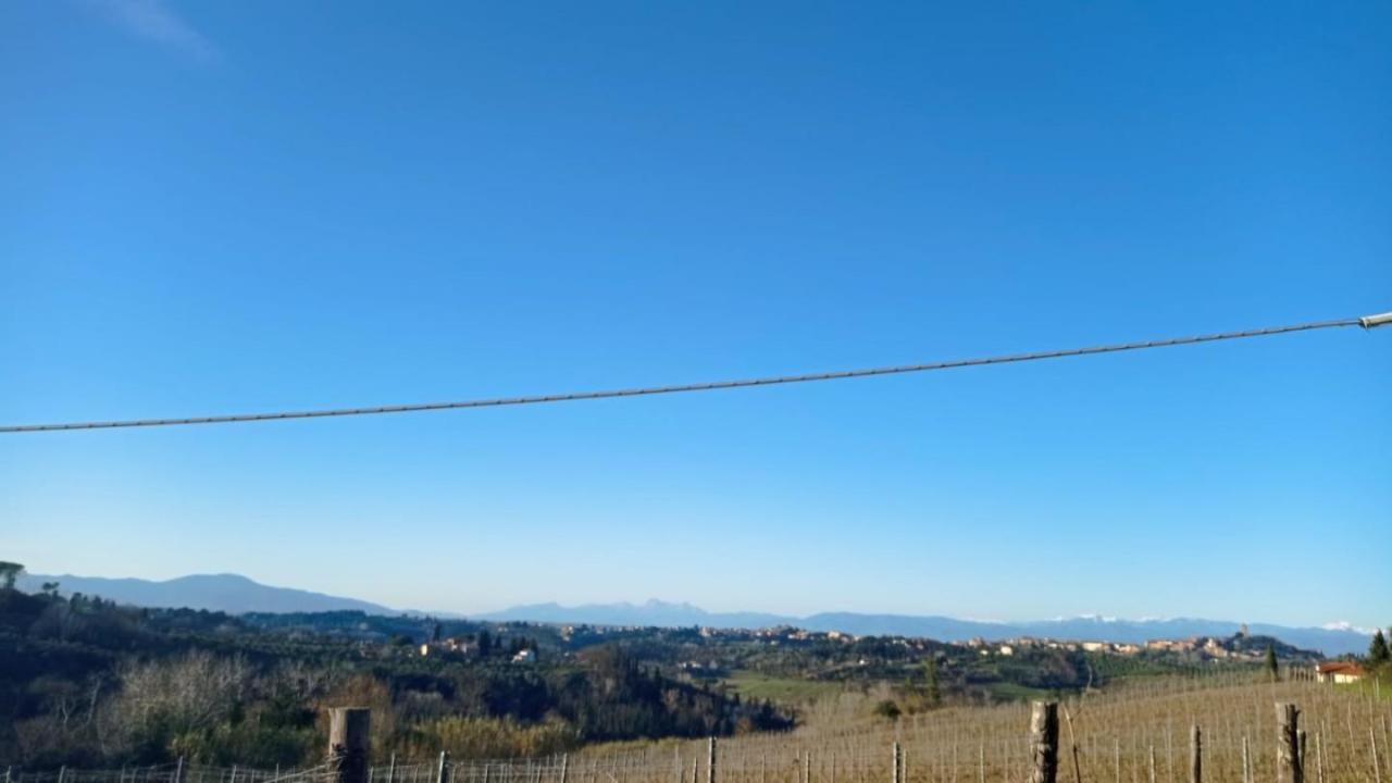 418m² Land in San Miniato, Italy No. 68505