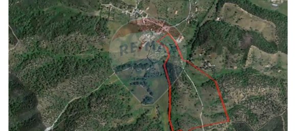 9 Schlafzimmer Haus in Colos, Portugal, Nr. 31281 2