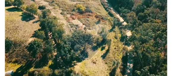 9 Schlafzimmer Haus in Colos, Portugal, Nr. 31281 11