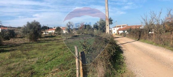 9 Schlafzimmer Haus in Colos, Portugal, Nr. 31281 4