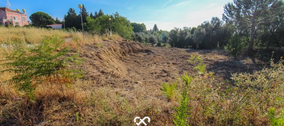  Land in Nelas, Portugal No. 62154 3