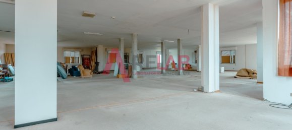 5107m² Building in Torrita di Siena, Italy No. 113320 12