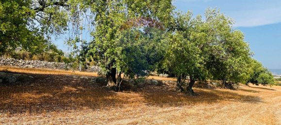 Дом с 3 комнатами в Рагуза, Италия № 149571 8