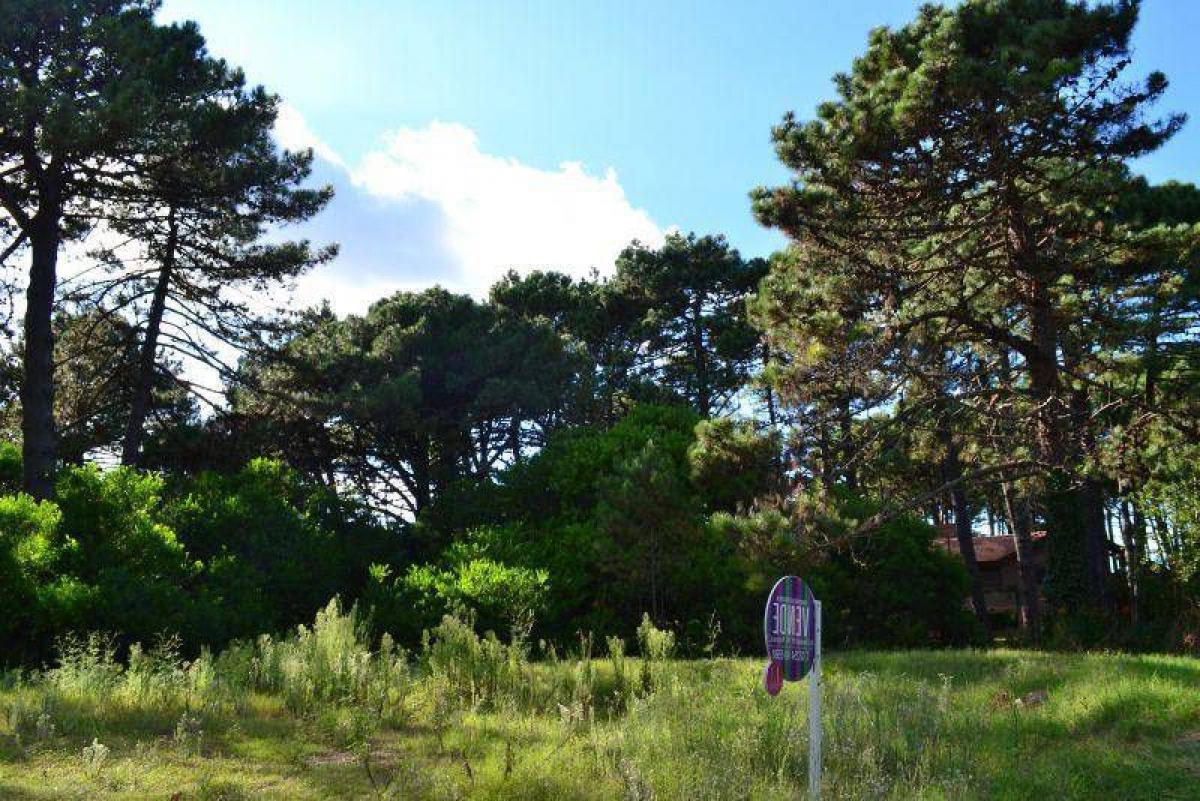 Grundstück in Mar del Plata, Argentina, Nr. 113367