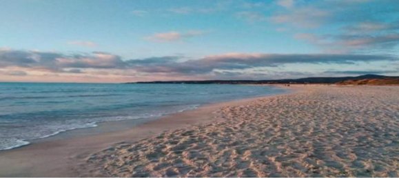 4-salle Appartement à Rosignano Marittimo, Italy No. 220157 22