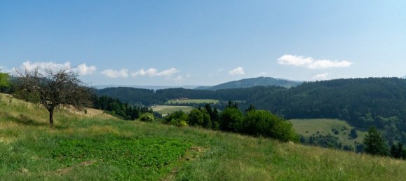 Gewerbliche Immobilie in Guttaring, Austria 110m², Nr. 243093 9