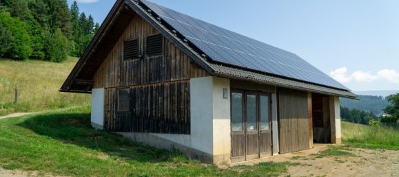 Gewerbliche Immobilie in Guttaring, Austria 110m², Nr. 243093 13