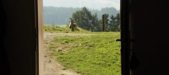 Gewerbliche Immobilie in Guttaring, Austria 110m², Nr. 243093 3