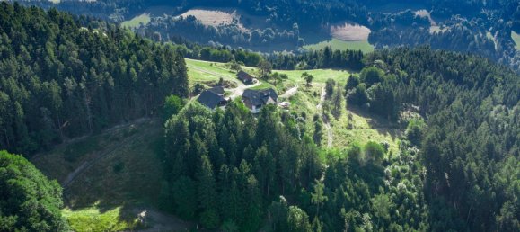 Gewerbliche Immobilie in Guttaring, Austria 110m², Nr. 243093 6