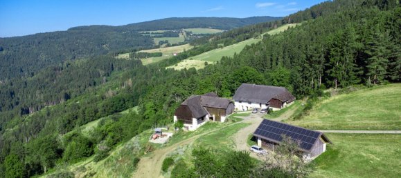 Gewerbliche Immobilie in Guttaring, Austria 110m², Nr. 243093 10