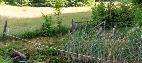 Gewerbliche Immobilie in Guttaring, Austria 110m², Nr. 243093 25