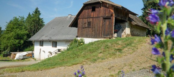 Gewerbliche Immobilie in Guttaring, Austria 110m², Nr. 243093 15