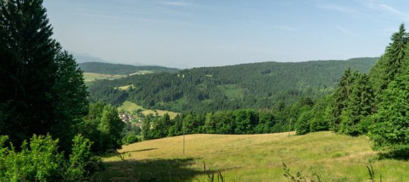 Gewerbliche Immobilie in Guttaring, Austria 110m², Nr. 243093 7