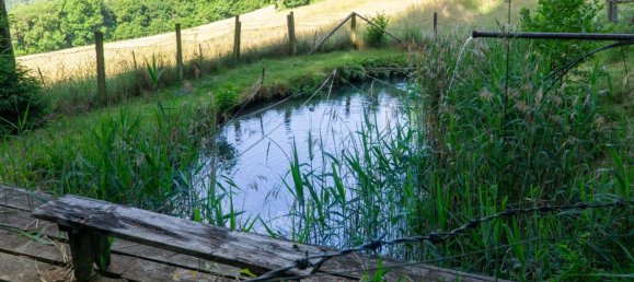 Gewerbliche Immobilie in Guttaring, Austria 110m², Nr. 243093 23