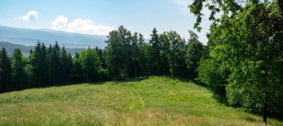 Gewerbliche Immobilie in Guttaring, Austria 110m², Nr. 243093 8