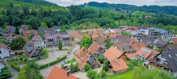 5 bedrooms Cafe / restaurant in Ortenaukreis, Germany No. 241967 28