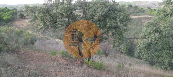 Terreno en Azinhal, Portugal 4960 m² No. 69791 20