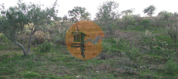 Terreno en Azinhal, Portugal 4960 m² No. 69791 26