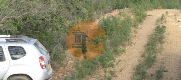 Terreno en Azinhal, Portugal 4960 m² No. 69791 25