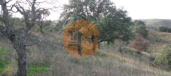 Terreno en Azinhal, Portugal 4960 m² No. 69791 17