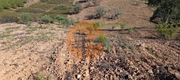 Terreno en Azinhal, Portugal 4960 m² No. 69791 11