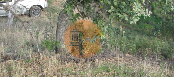 Terreno en Azinhal, Portugal 4960 m² No. 69791 23