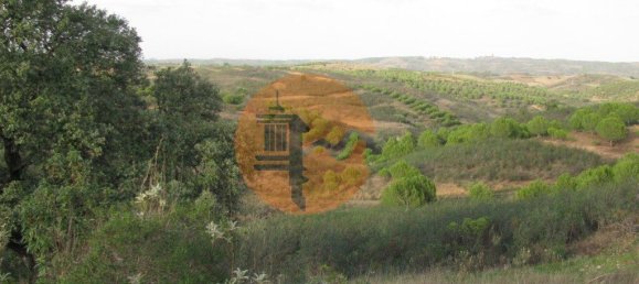 Terreno en Azinhal, Portugal 4960 m² No. 69791 18