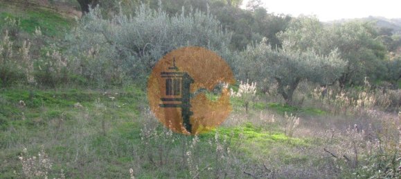 Terreno en Azinhal, Portugal 4960 m² No. 69791 27