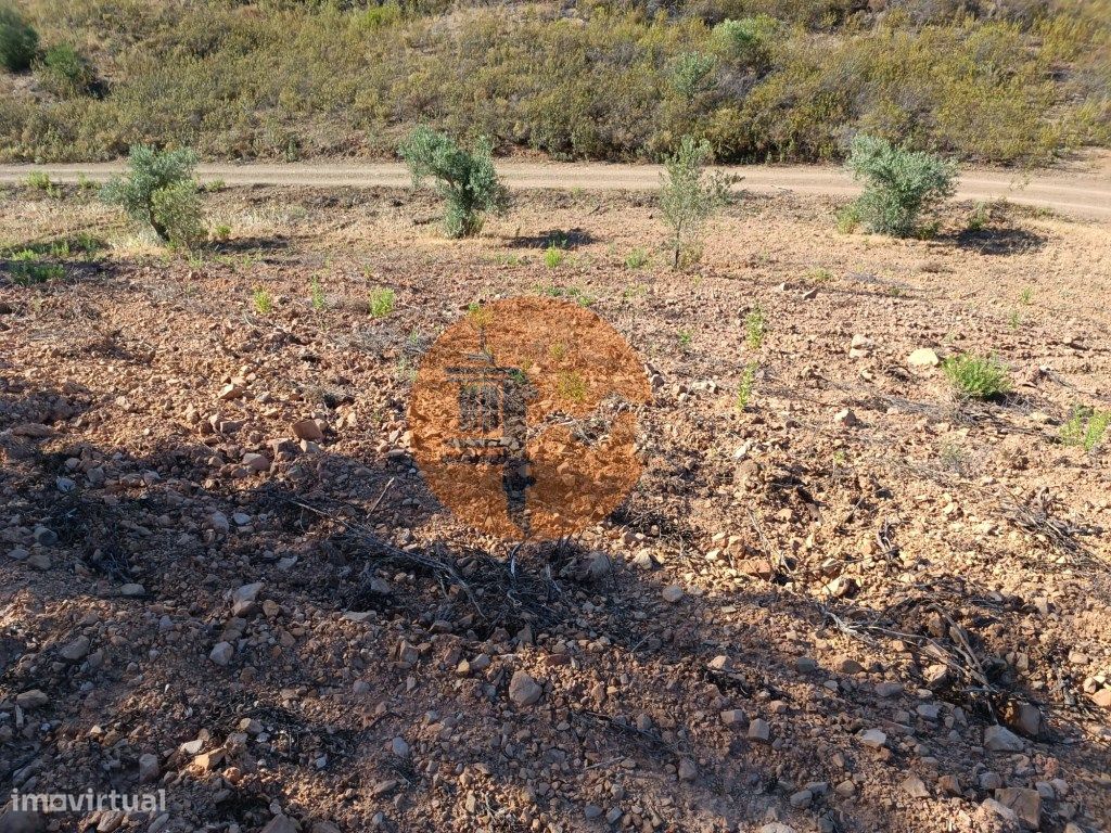 Terreno en Azinhal, Portugal 4960 m² No. 69791