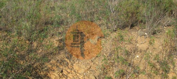 Terreno en Azinhal, Portugal 4960 m² No. 69791 28