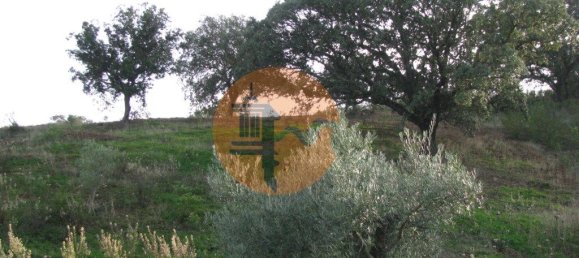 Terreno en Azinhal, Portugal 4960 m² No. 69791 30