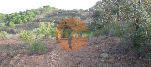 Terreno en Azinhal, Portugal 4960 m² No. 69791 33
