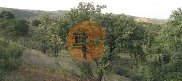 Terreno en Azinhal, Portugal 4960 m² No. 69791 22