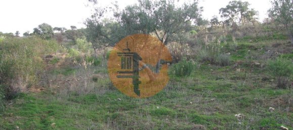 Terreno en Azinhal, Portugal 4960 m² No. 69791 24