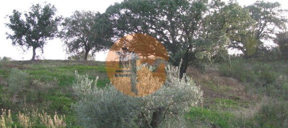 Terreno en Azinhal, Portugal 4960 m² No. 69791 32