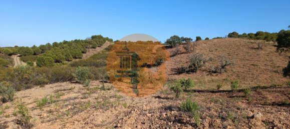 Terreno en Azinhal, Portugal 4960 m² No. 69791 4