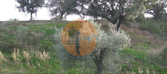 Terreno en Azinhal, Portugal 4960 m² No. 69791 31