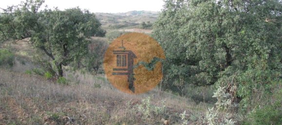 Terreno en Azinhal, Portugal 4960 m² No. 69791 19