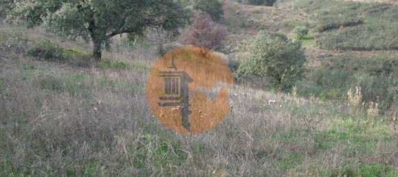 Terreno en Azinhal, Portugal 4960 m² No. 69791 16