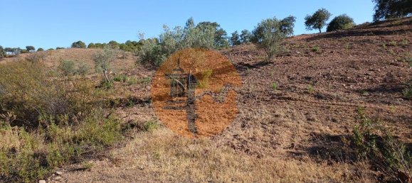 Terreno en Azinhal, Portugal 4960 m² No. 69791 12