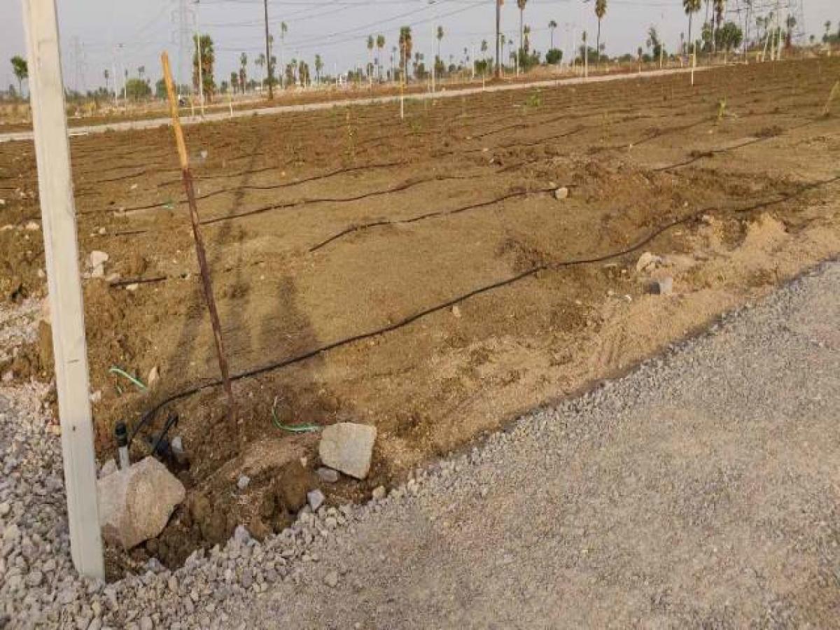 Grundstück in Hyderabad, India, Nr. 41915